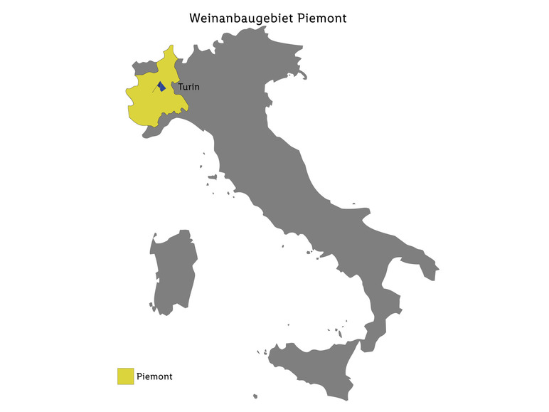 Rotwein Castagnole trocken, bricchidoarti Monferrato di DOCG Ruchè 2021