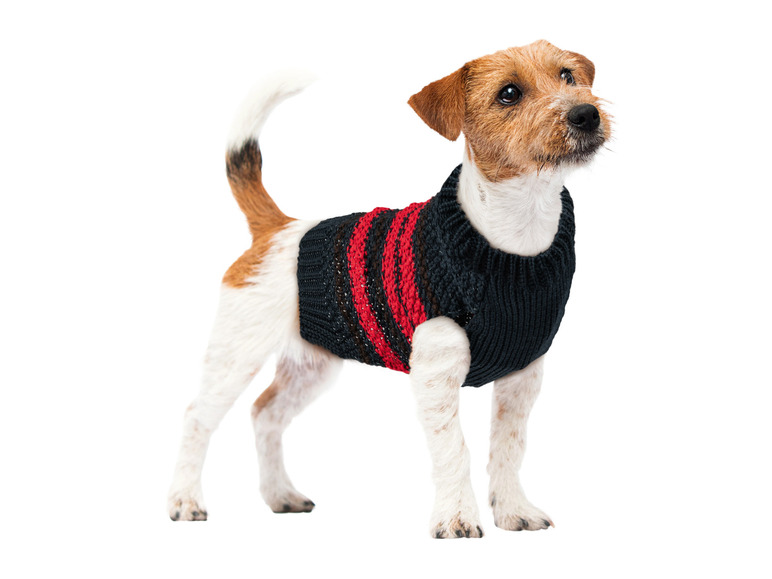 Gehe zu Vollbildansicht: zoofari® Hunde-Strickpullover, reflektierend - Bild 9