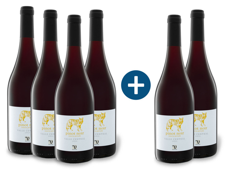4 + Rotwein Noir Pinot Reserva trocken, 2 Weinpaket VIAJERO Privada Chile