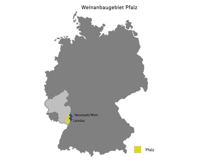 Gehe zu Vollbildansicht: Deidesheimer Weinmanufaktur Riesling Edition QbA trocken, Weißwein 2023 - Bild 2