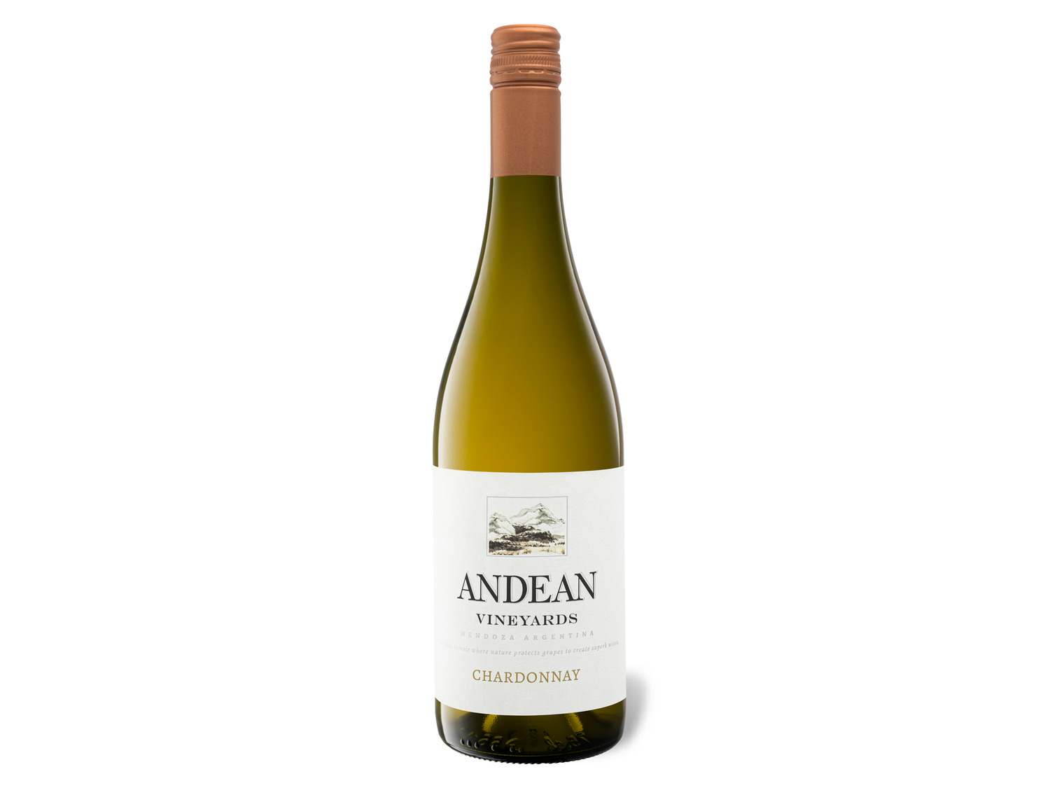 Andean Vineyards Chardonnay trocken, 2022 Weißwein