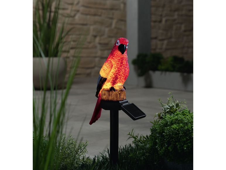 Gehe zu Vollbildansicht: LIVARNO home LED Solar Gartenstecker Vögel - Bild 13