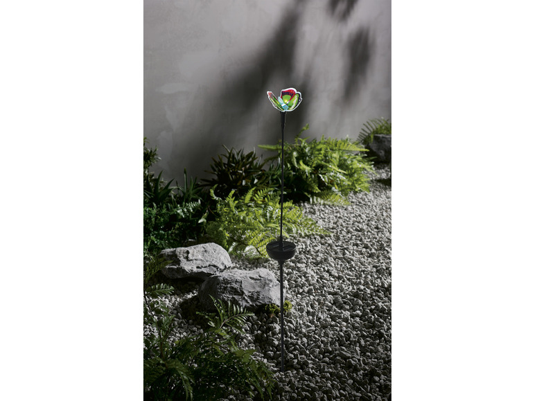 Gehe zu Vollbildansicht: LIVARNO home Deko-Solarleuchte, mit automatischem Farbwechsel - Bild 5