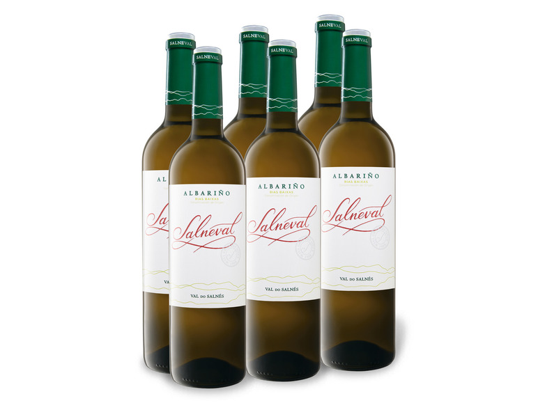 6 x 0 75-l-Flasche Rías Weißwein Weinpaket Baixas Salneval trocken DO Albarino