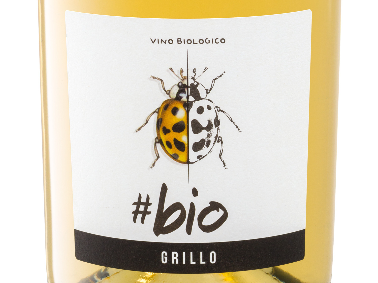 BIO Grillo | LIDL DOC Sicilia 2021 trocken, Weißwein