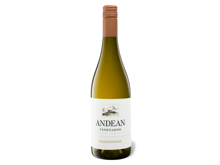 Weißwein trocken, Vineyards Chardonnay 2022 Andean