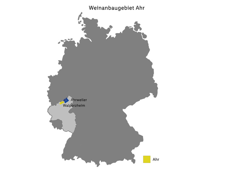 Gehe zu Vollbildansicht: Spätburgunder QbA Ahr trocken, Rotwein 2022 - Bild 3