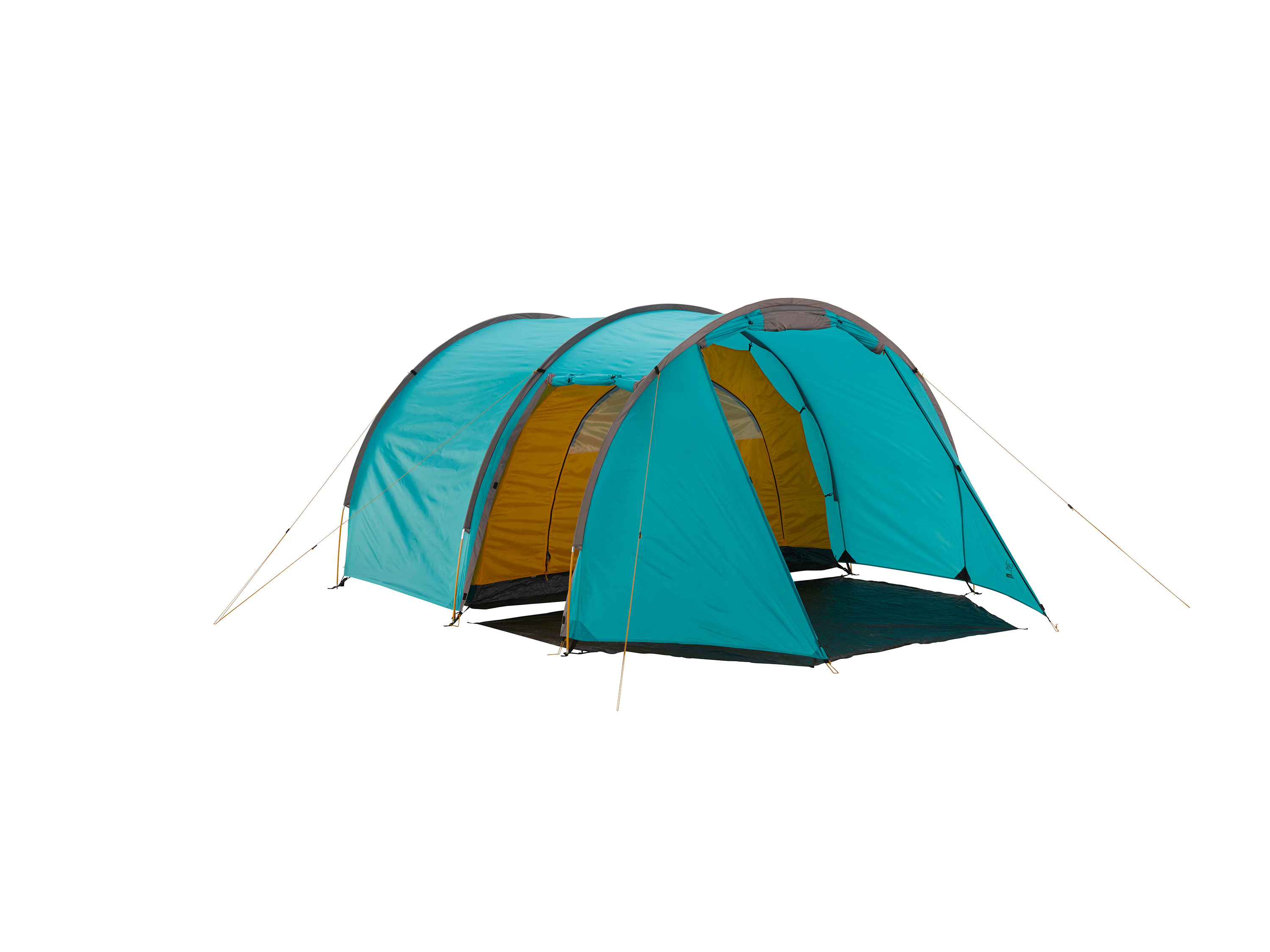 Grand Canyon Robson 4 Personen Zelt (Blue Grass)