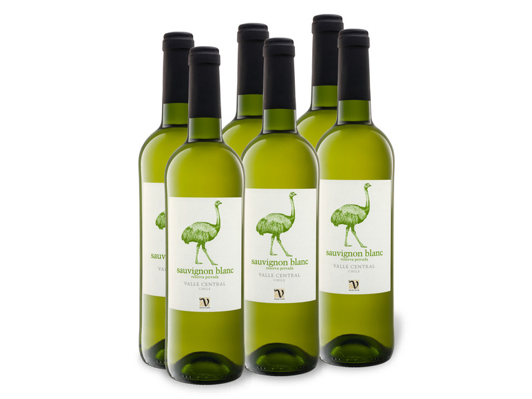 6 x 0 75-l-Flasche Cimarosa Sauvignon Blanc Reserva Privada Chile Weißwein