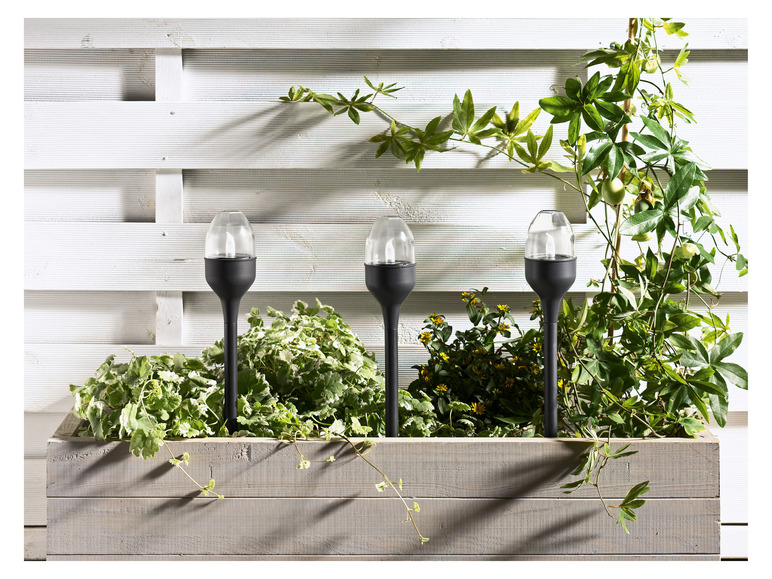Gehe zu Vollbildansicht: LIVARNO home LED Solarleuchten / Tischleuchten, 3 Stück - Bild 4