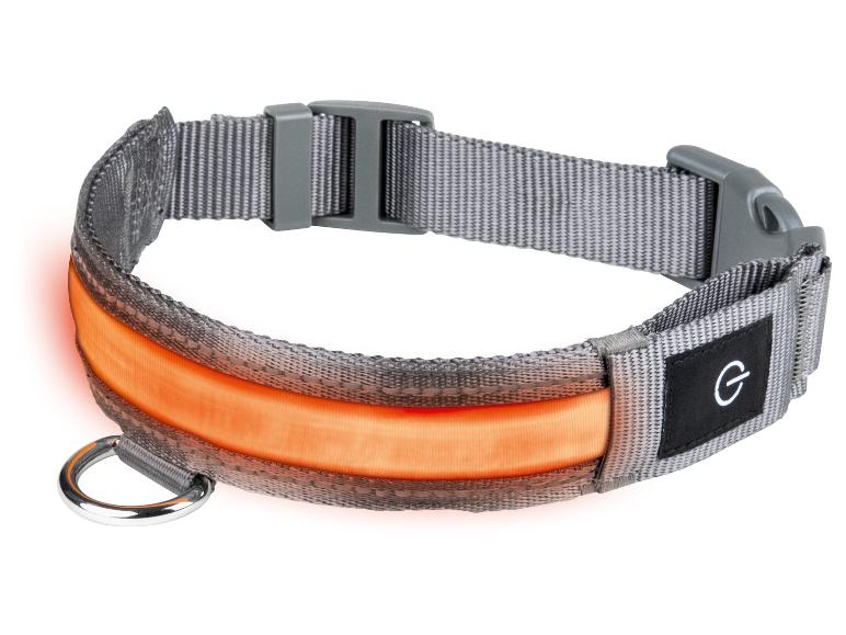 Gehe zu Vollbildansicht: zoofari® LED-Hundehalsband, mit 3 Leuchtfunktionen - Bild 8