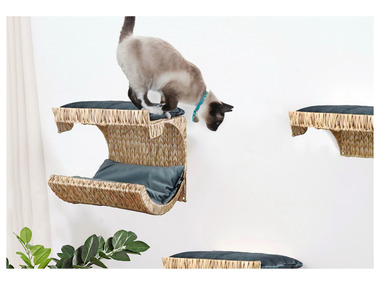 online günstig LIDL Katzendecken Katzenkissen | kaufen & Katzenbetten,