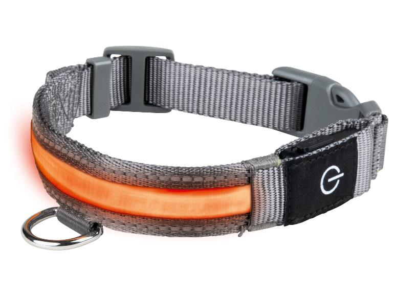 Gehe zu Vollbildansicht: zoofari® LED-Hundehalsband, mit 3 Leuchtfunktionen - Bild 4