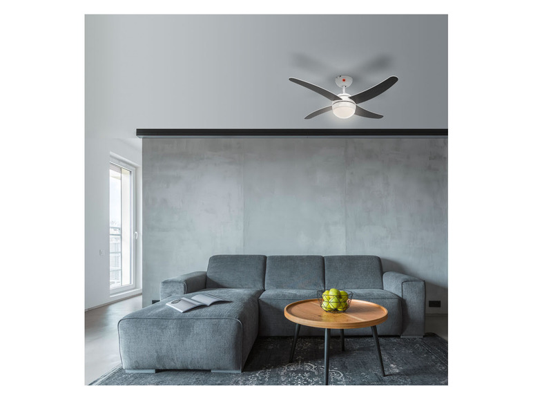 LIVARNO Ventilator mit Deckenleuchte, home