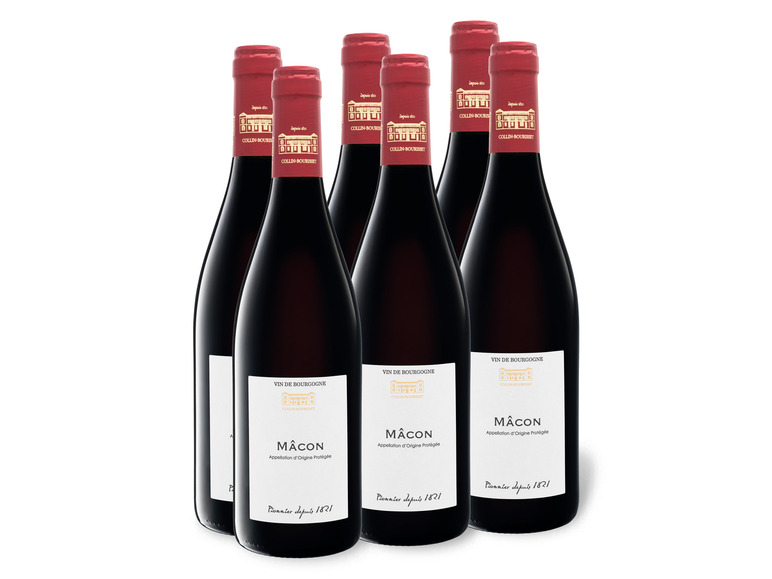 6 x AOP trocken, Weinpaket Collin Rotwein 0,75-l-Flasche Bourisset Mâcon