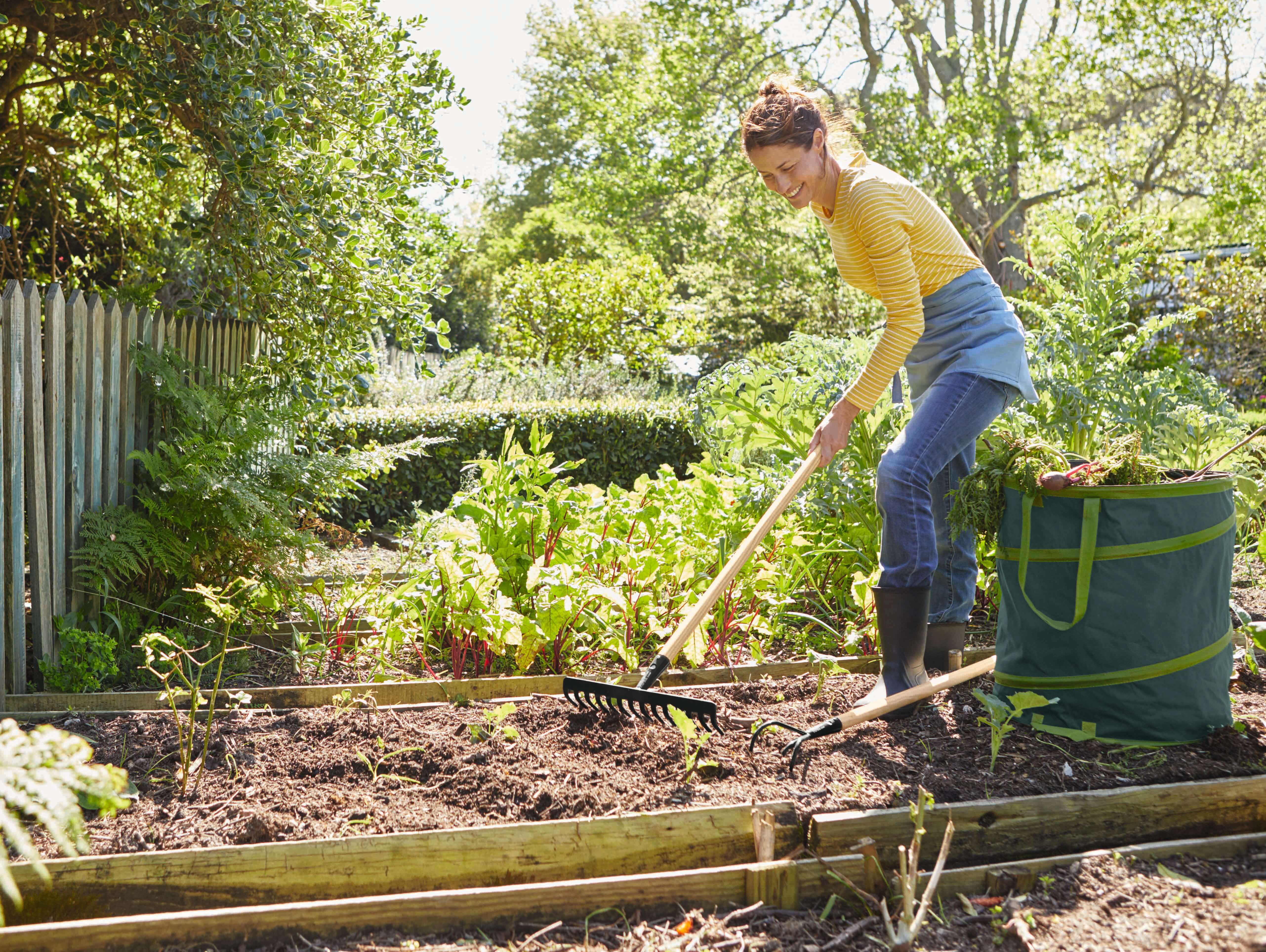 Gartengestaltung Ideen Tipps Und Anregungen Lidl De