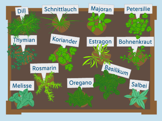 Krautergarten Anlegen Leicht Gemacht Lidl De