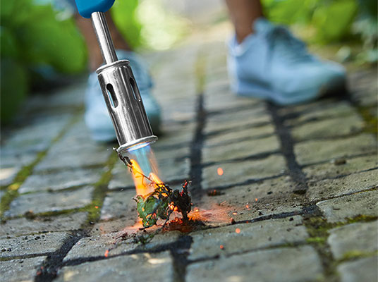 Terrassenplatten Richtig Reinigen Lidl De