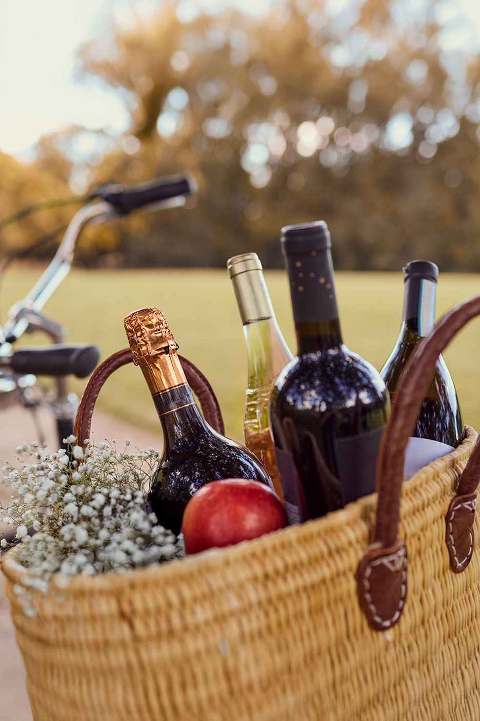 Picknickkorb auf einem Fahrrad mit Weinflaschen, Apfel und Blumen.