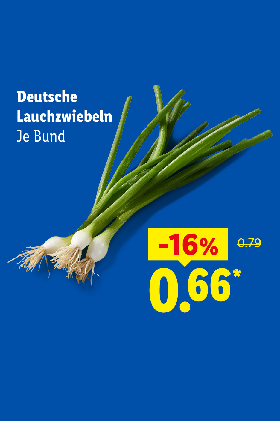 Deutsche Lauchzwiebeln, je Bund für 0.66€*